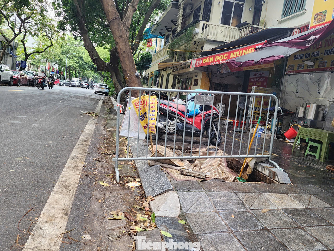 Tuy nhiên, hiện nay còn khá nhiều hố trồng cây sâu còn lại sau khi cây được di chuyển. Cơ quan chức năng đã tạm đặt các cảnh báo để đảm bảo an toàn cho người tham gia giao thông. Tuy nhiên, hiện nay còn khá nhiều hố trồng cây sâu còn lại sau khi cây được di chuyển. Cơ quan chức năng đã tạm đặt các cảnh báo để đảm bảo an toàn cho người tham gia giao thông.