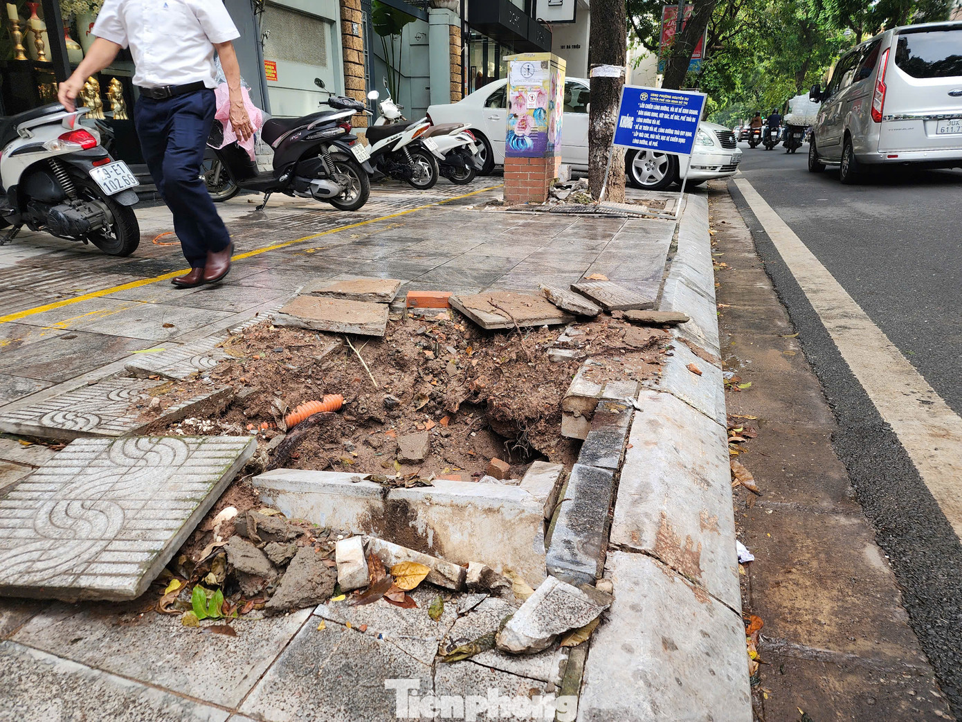 Một hố trồng cây được đắp thêm đất để đảm bảo toàn Một hố trồng cây được đắp thêm đất để đảm bảo toàn