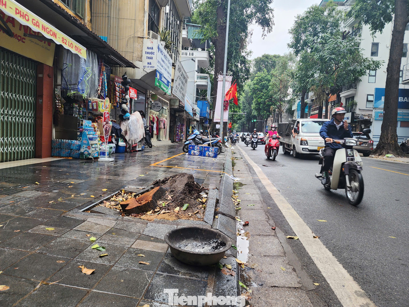 Theo tìm hiểu của PV, việc trồng lại cây sẽ được tiến hành sớm trong vài ngày tới. Tuy nhiên, hiện nguồn cấp cây tại các vườn ươm khu vực tỉnh Hưng Yên cũng đang khó khăn do chịu thiệt hại lớn sau lũ. Theo tìm hiểu của PV, việc trồng lại cây sẽ được tiến hành sớm trong vài ngày tới. Tuy nhiên, hiện nguồn cấp cây tại các vườn ươm khu vực tỉnh Hưng Yên cũng đang khó khăn do chịu thiệt hại lớn sau lũ.