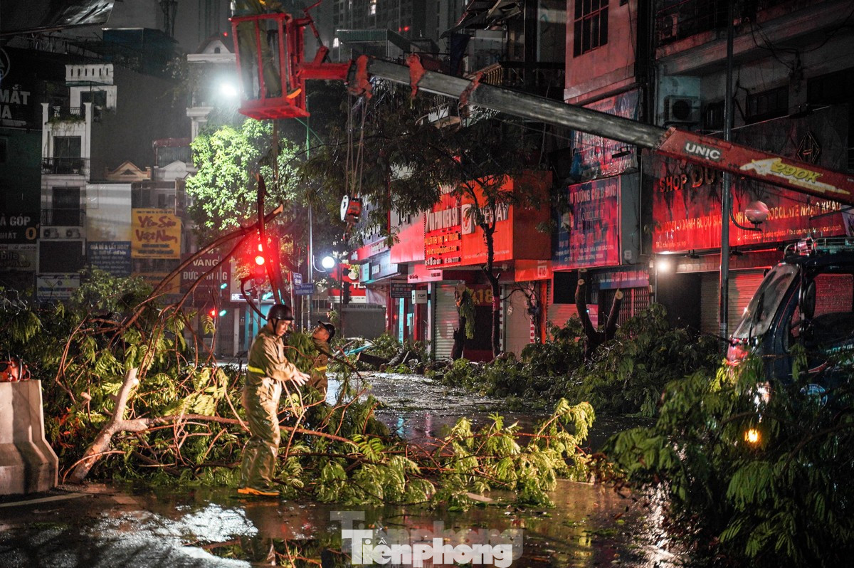 Hàng nghìn cây đổ trên đường phố Hà Nội Hàng nghìn cây đổ trên đường phố Hà Nội