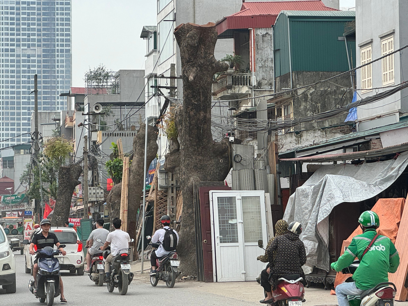 Tuyến đường 70 (đoạn qua địa bàn phường Đại Mỗ, quận Nam Từ Liêm) đang được mở rộng. Do đó hàng loạt cây xà cừ lâu năm trên phố đang bị chặt hạ.