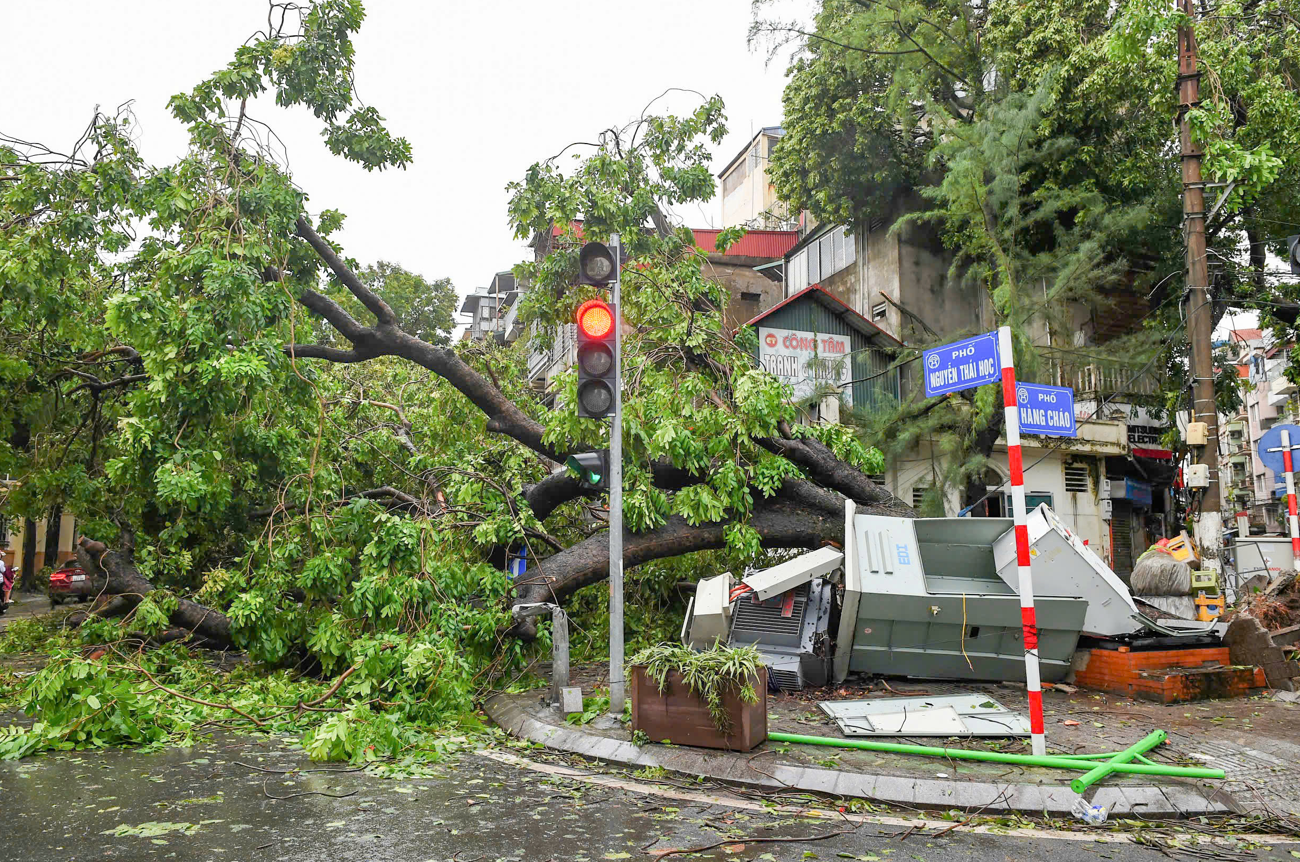 Cây xanh gãy đổ trên địa bàn Thủ đô sau bão số 3 Cây xanh gãy đổ trên địa bàn Thủ đô sau bão số 3