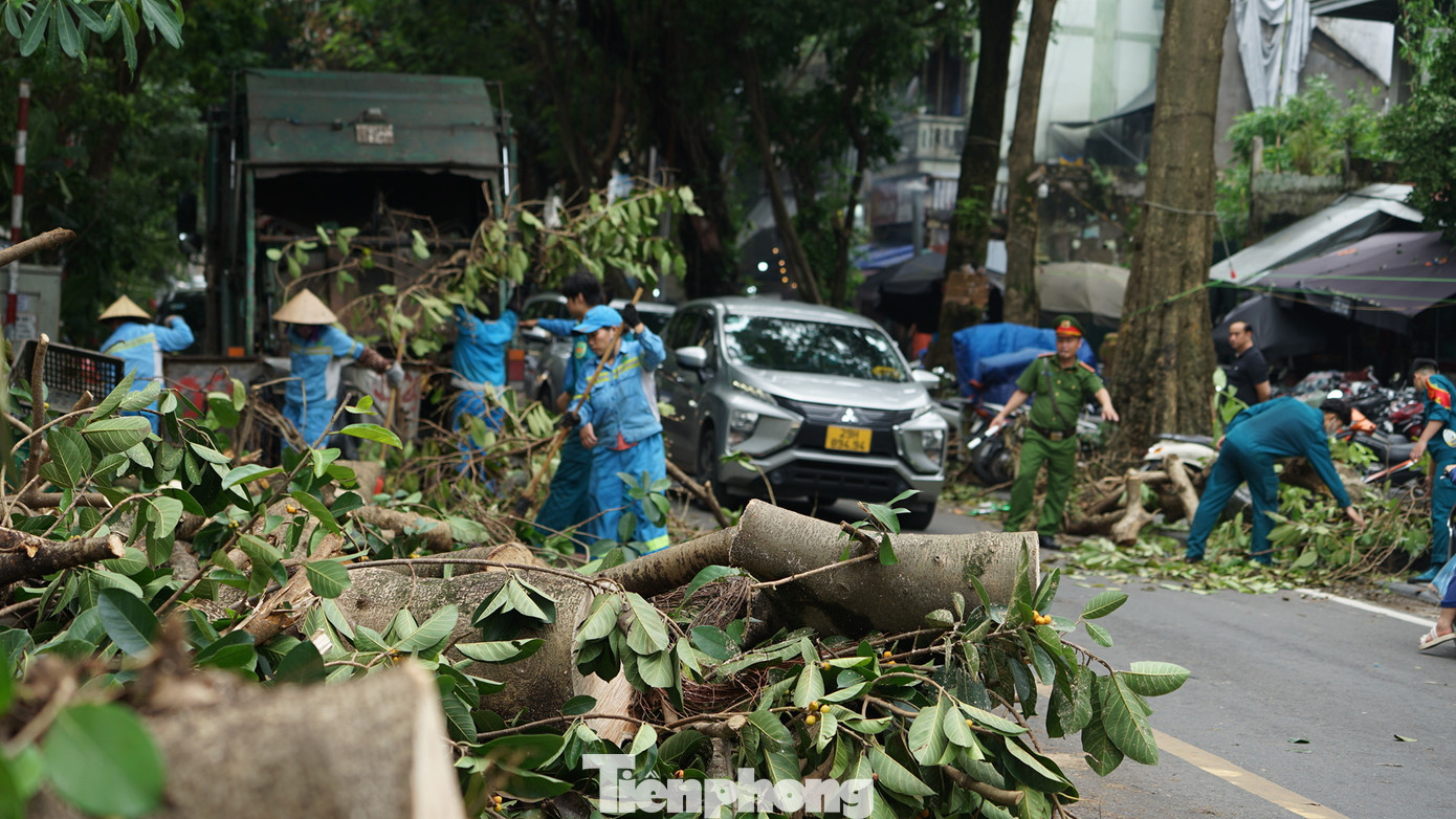 Thu dọn cây xanh gãy đổ sau bão số 3 trên địa bàn thành phố Hà Nội. Ảnh: Trần Hoàng.