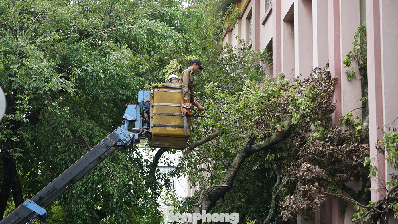 Theo UBND quận Hoàn Kiếm, trên địa bàn có tổng số 697 cây xanh đổ, gãy, bật gốc; đến nay đã cắt dọn, giải tỏa được trên 670 cây đổ, gãy. Giao thông trên các trục đường chính, khu vực trung tâm đã thông suốt.