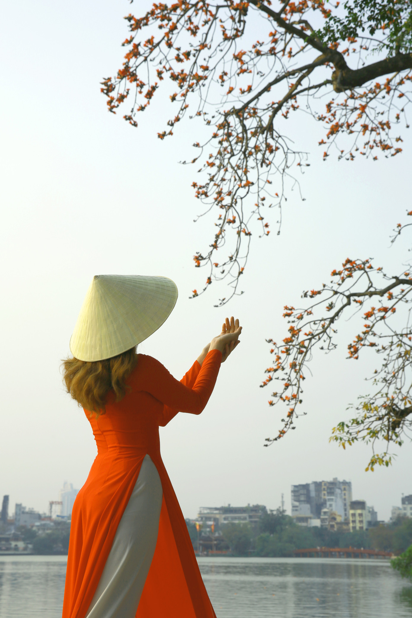 Đoá hoa chứa đựng đầy những khát khao mơ mộng son trẻ, báo hiệu những ngày hạ rộn rã tươi vui gọi mời tiếng ve râm ran quanh Hồ Gươm xanh ngắt.