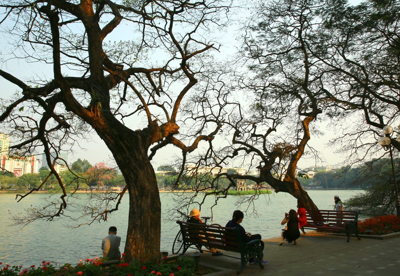 Khi trời đất giao mùa hết xuân sang hè, ta lại thấy "Lập loè cây gạo ra hoa. Nghe trong sâu thẳm cây đa, đình làng…” Rực rỡ sắc đỏ hoa gạo như khát cháy niềm riêng mãnh liệt.