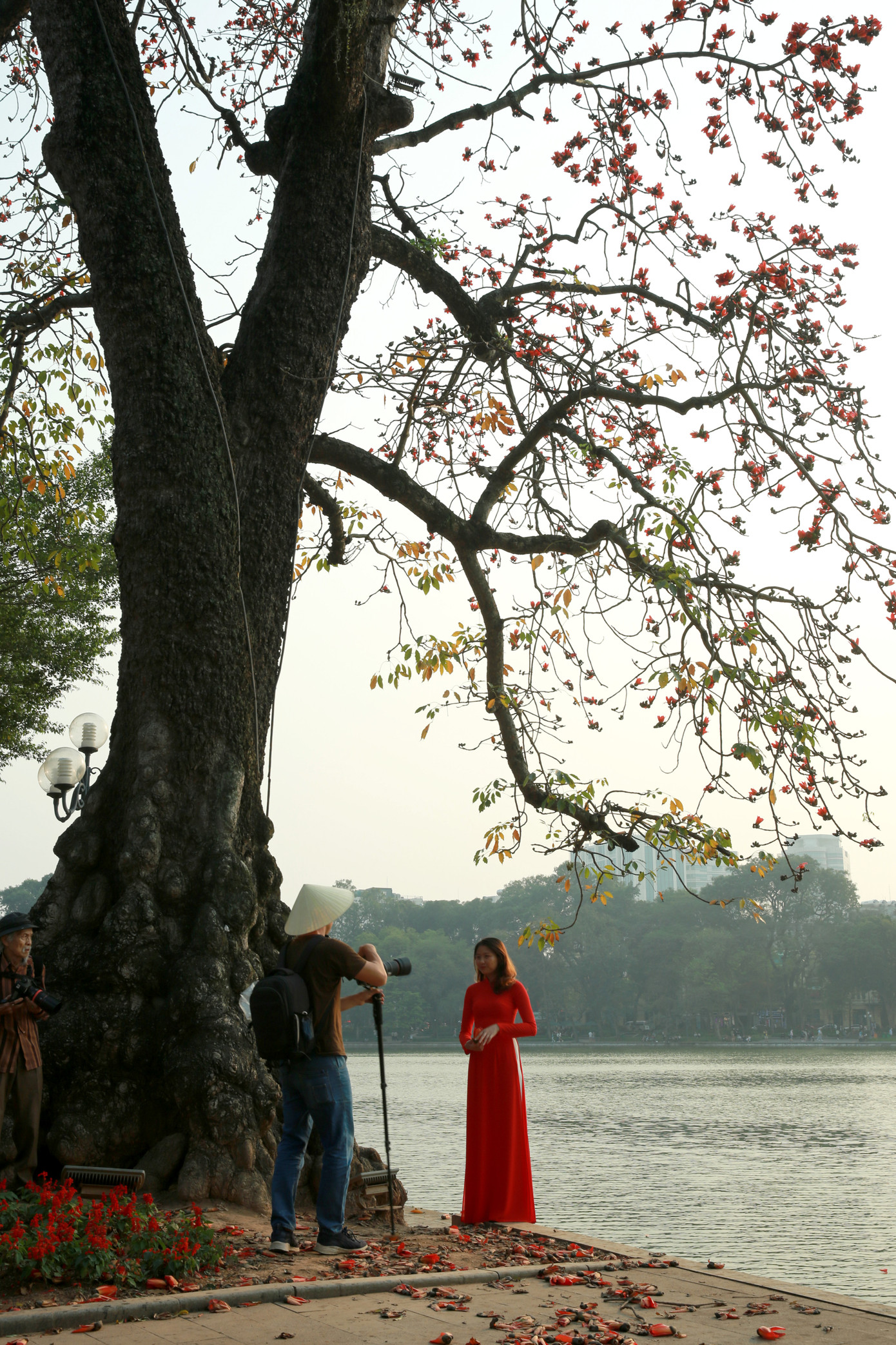 Chẳng ai có thể làm ngơ được trước vẻ đẹp rực rỡ của hoa gạo.