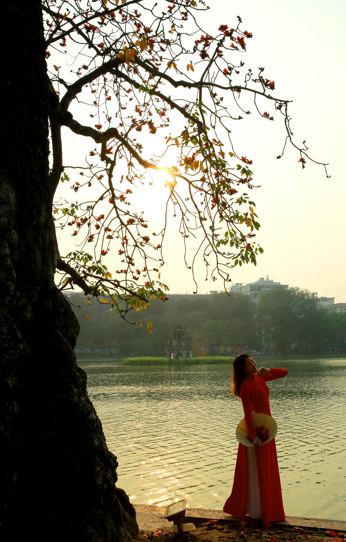 Tại Hà Nội, cây gạo không được trồng phổ biến như các loài cây khác. Tuy nhiên, mùa hoa gạo Hà Nội vẫn là một món quà tháng 3 đặc biệt thân thương của người dân Thủ đô