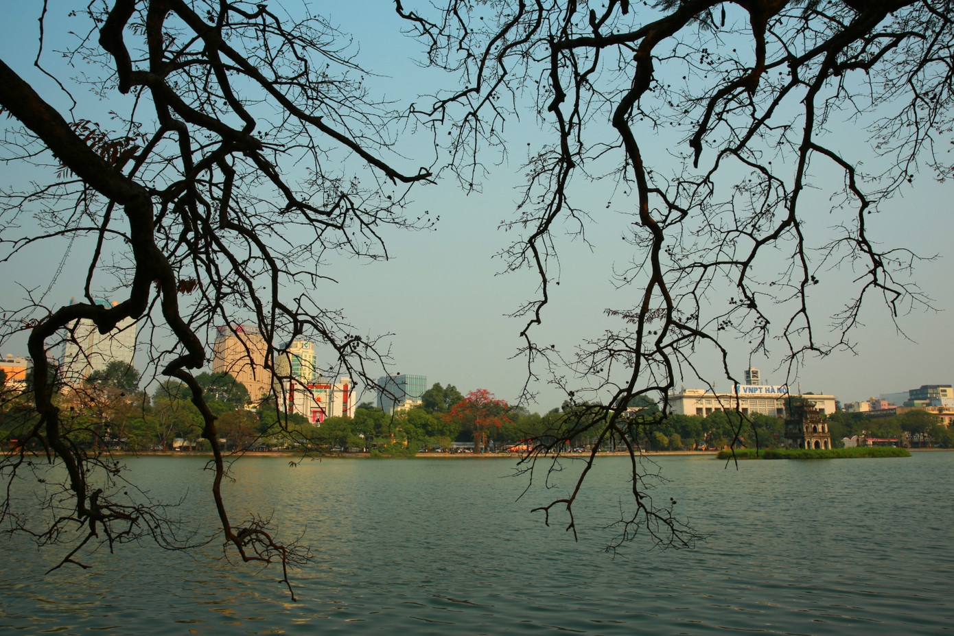 Trên những cành cây khẳng khiu, trơ trọi dưới tác động của mùa đông lạnh giá, hoa gạo bừng tỉnh vươn mình nở rộ trong suốt hai tuần. Những bông hoa đỏ rực như những đốm lửa đầy nhiệt huyết, đánh tan không khí u ám và những cơn mưa phùn dai dẳng.