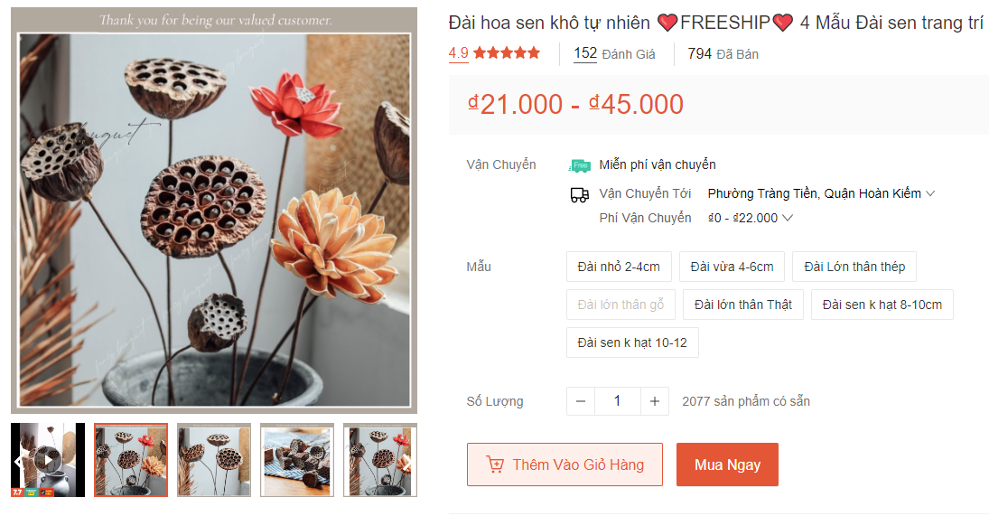 Đài sen khô sẽ bị thâm đen, khi đó chúng thường bị vứt bỏ. Thế nhưng một số cửa hàng hoa nghệ thuật đã biến đài sen khô thành tác phẩm đẹp mắt. Sau khi "đổi đời", đài sen khô có giá đắt đỏ, lên đến 45.000 đồng/đài.