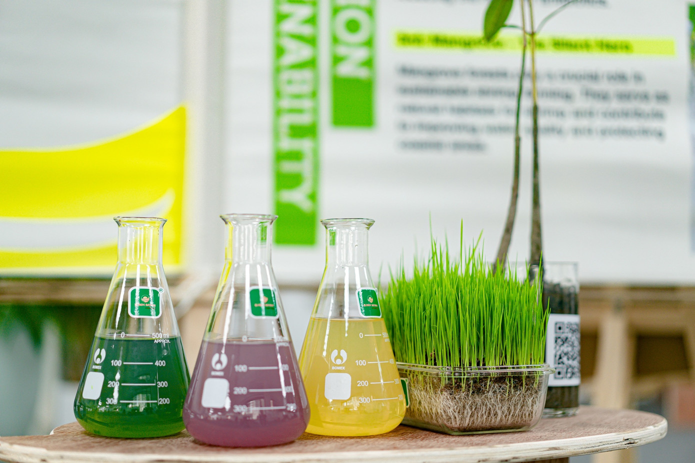 Bình Minh Capital giới thiệu các loại tảo dùng để duy trì môi trường ao nuôi tôm khỏe mạnh và các giống lúa có khả năng chịu mặn.