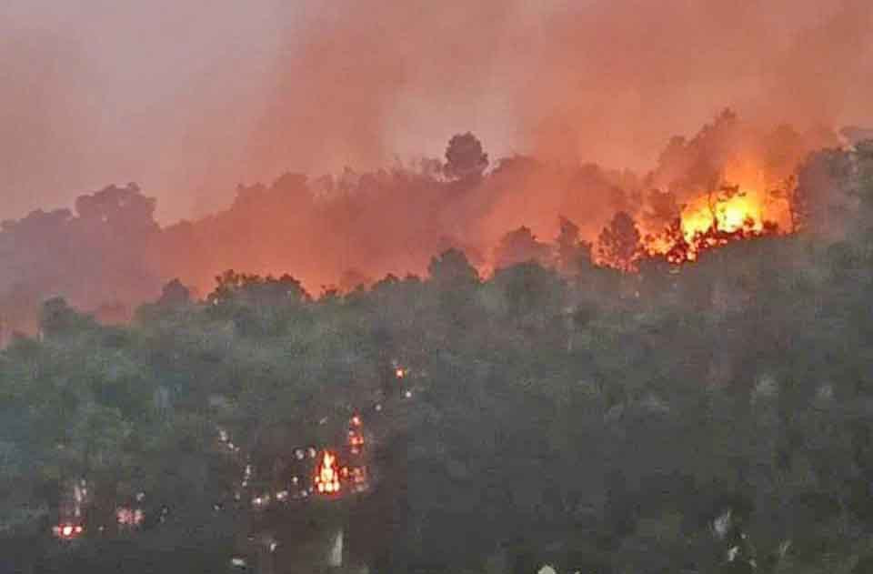 Một vụ cháy rừng tại Sóc Sơn xảy ra giữa tháng 11/2024