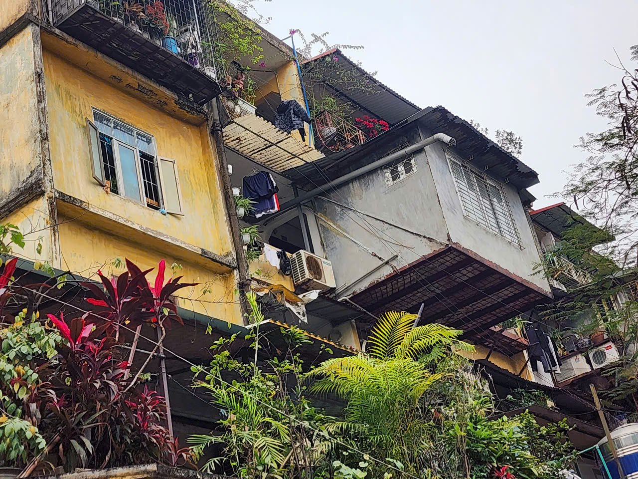 Hiện quận Thanh Xuân đang phối hợp với các cơ quan liên quan tiến hành thủ tục cấp sổ đỏ cho 265 hộ dân. Hiện quận Thanh Xuân đang phối hợp với các cơ quan liên quan tiến hành thủ tục cấp sổ đỏ cho 265 hộ dân.