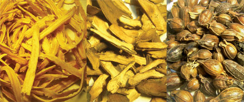 Sa sâm - Xích thược - Chi tử 