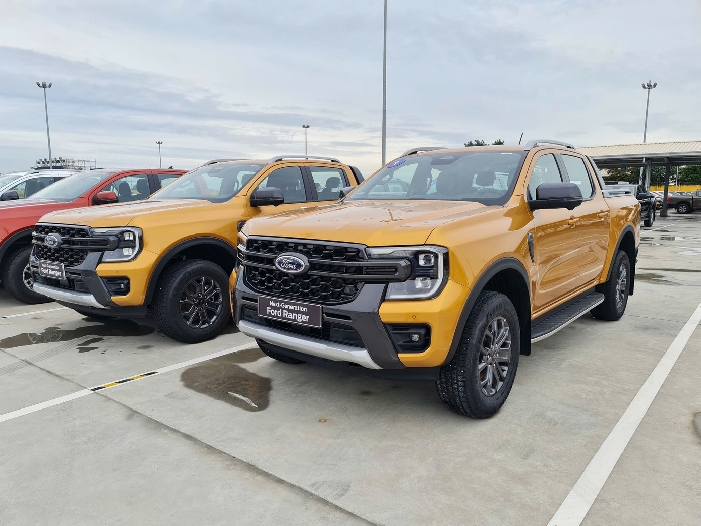 Dòng bán tải Ford Ranger tiếp tục được ưu đãi 50% lệ phí trước bạ. Dòng bán tải Ford Ranger tiếp tục được ưu đãi 50% lệ phí trước bạ.