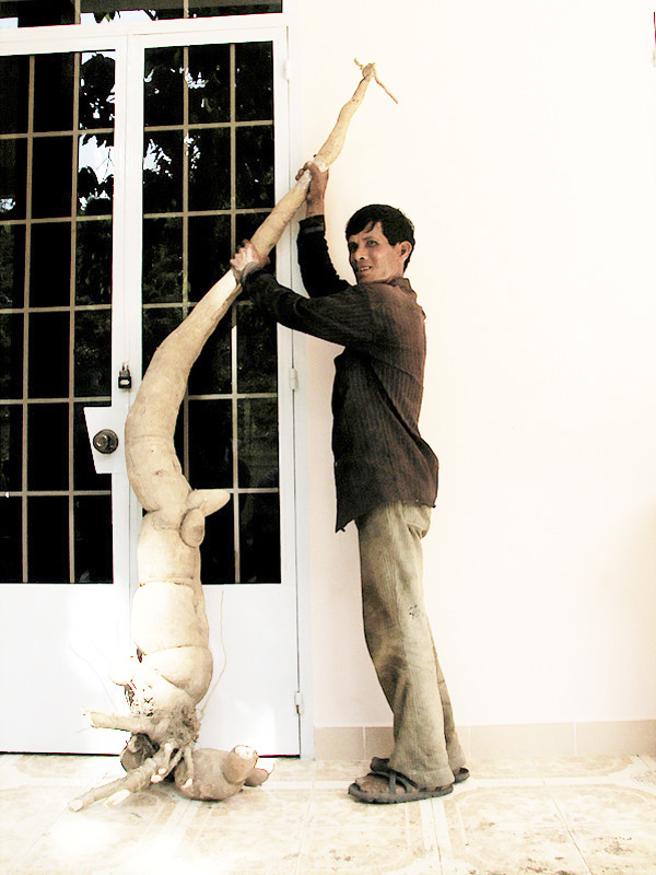 Ông Hà Bảy bên củ sắn khổng lồ