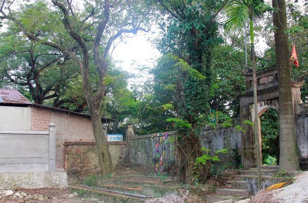 Có nên bán cây sưa 'hàng ngàn tỷ' trên đường phố? ảnh 6