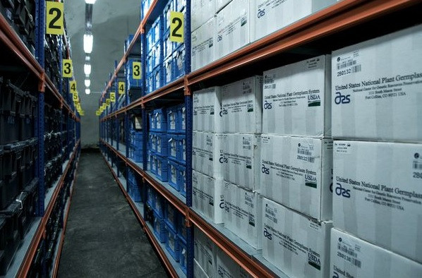 5 địa điểm bí ẩn, cấm kị con người đặt chân đến trên thế giới ảnh 3