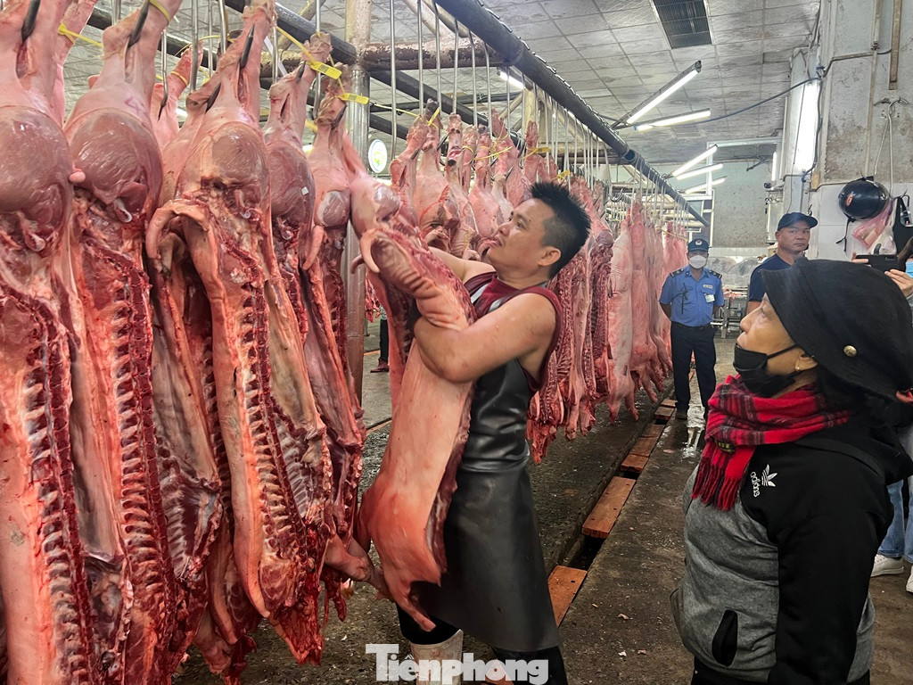 Tem truy xuất nguồn gốc trên mỗi con heo Tem truy xuất nguồn gốc trên mỗi con heo