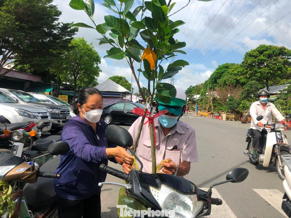 Người dân mua cây giống tại hội chợ để trồng trong vườn nhà, giá cực rẻ chỉ từ 30.000 đồng/cây