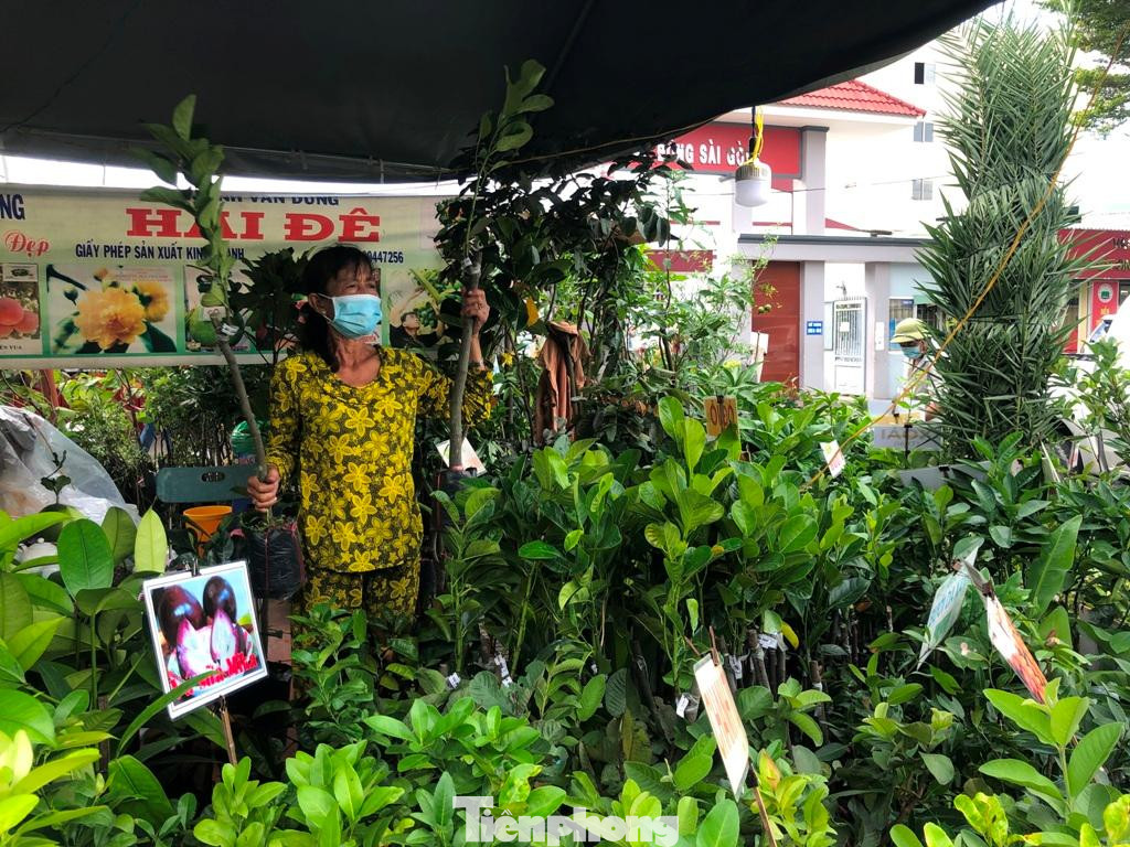 Sản phẩm cây giống được nhiều người chọn mua