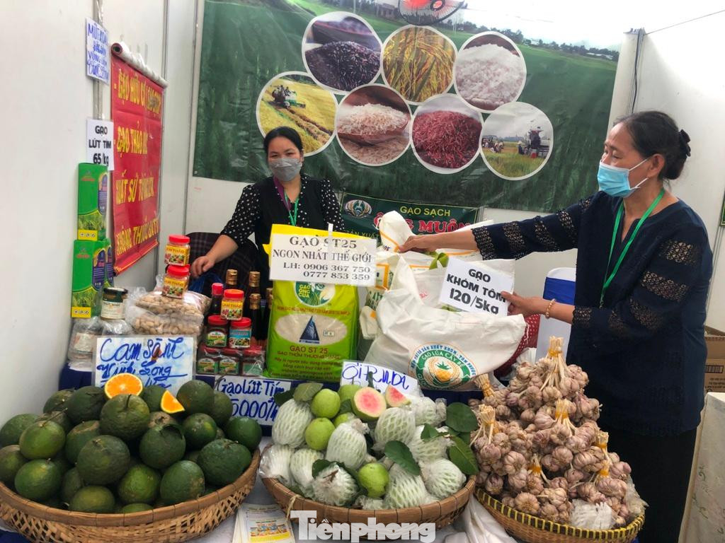 Ổi ruby, gạo khóm tôm, cam sành Vĩnh Long... được trình bày đẹp mắt tại một quầy hàng.