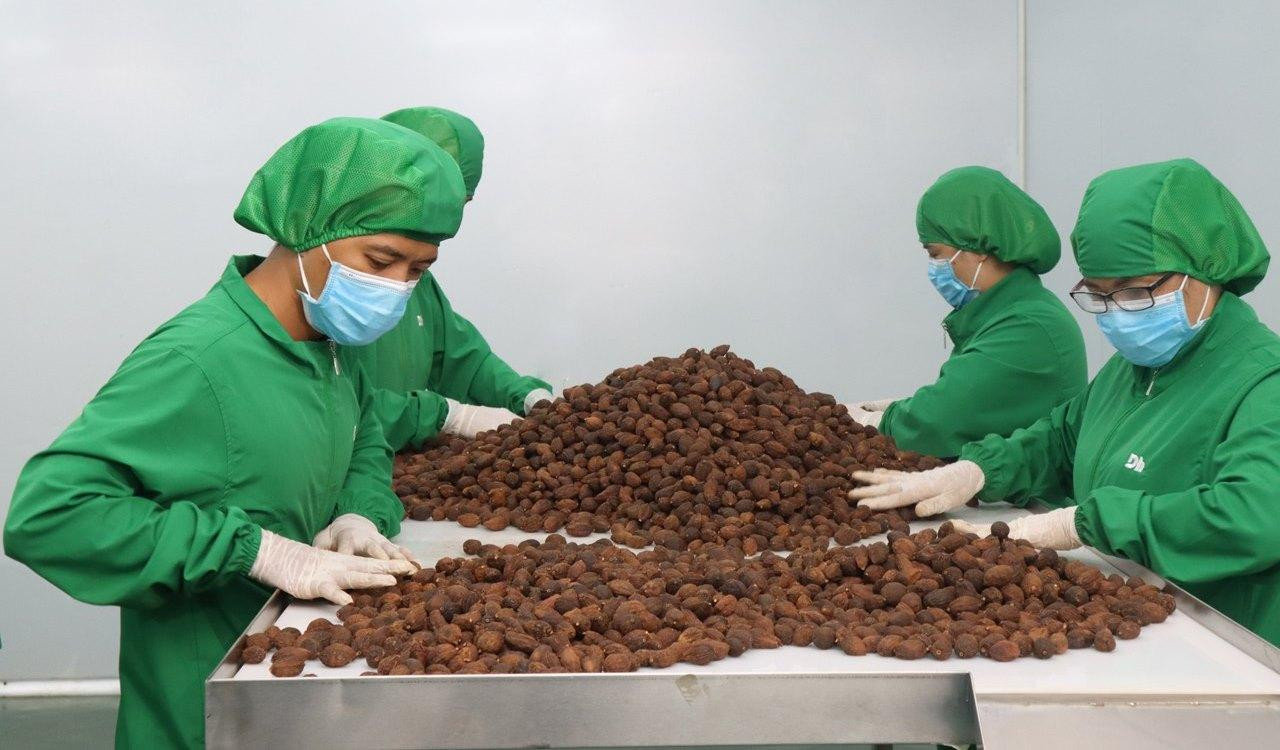 Kiều bào về nước khởi nghiệp. Trong ảnh là xưởng sản xuất gia vị của ông Nguyễn Trung Dũng (kiều bào Ba Lan) góp phần đưa nhiều gia vị Việt ra thế giới Kiều bào về nước khởi nghiệp. Trong ảnh là xưởng sản xuất gia vị của ông Nguyễn Trung Dũng (kiều bào Ba Lan) góp phần đưa nhiều gia vị Việt ra thế giới