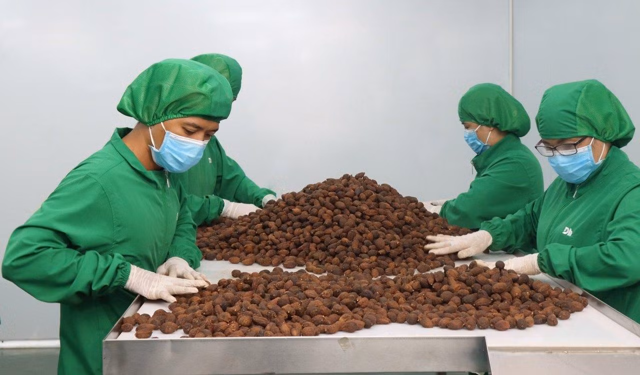 Kiều bào về nước khởi nghiệp. Trong ảnh là xưởng sản xuất gia vị của ông Nguyễn Trung Dũng (kiều bào Ba Lan) góp phần đưa nhiều gia vị Việt ra thế giới Kiều bào về nước khởi nghiệp. Trong ảnh là xưởng sản xuất gia vị của ông Nguyễn Trung Dũng (kiều bào Ba Lan) góp phần đưa nhiều gia vị Việt ra thế giới