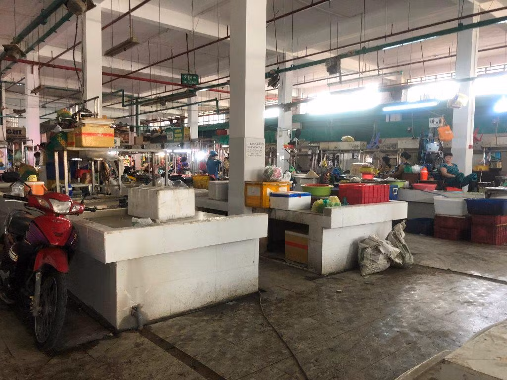 Tầm hơn 10 giờ trưa 5/3, tại chợ Phú Lâm (quận 6) đã thưa vắng khách đến chợ, nhiều sạp hàng thực phẩm tươi sống như tôm cá, thịt... vẫn còn trống tiểu thương do chưa được mở bán trở lại. Tầm hơn 10 giờ trưa 5/3, tại chợ Phú Lâm (quận 6) đã thưa vắng khách đến chợ, nhiều sạp hàng thực phẩm tươi sống như tôm cá, thịt... vẫn còn trống tiểu thương do chưa được mở bán trở lại.