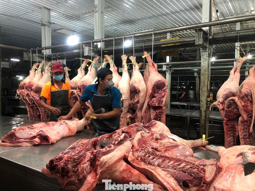 Heo về chợ đầu mối Bình Điền giảm hơn cùng kỳ các năm