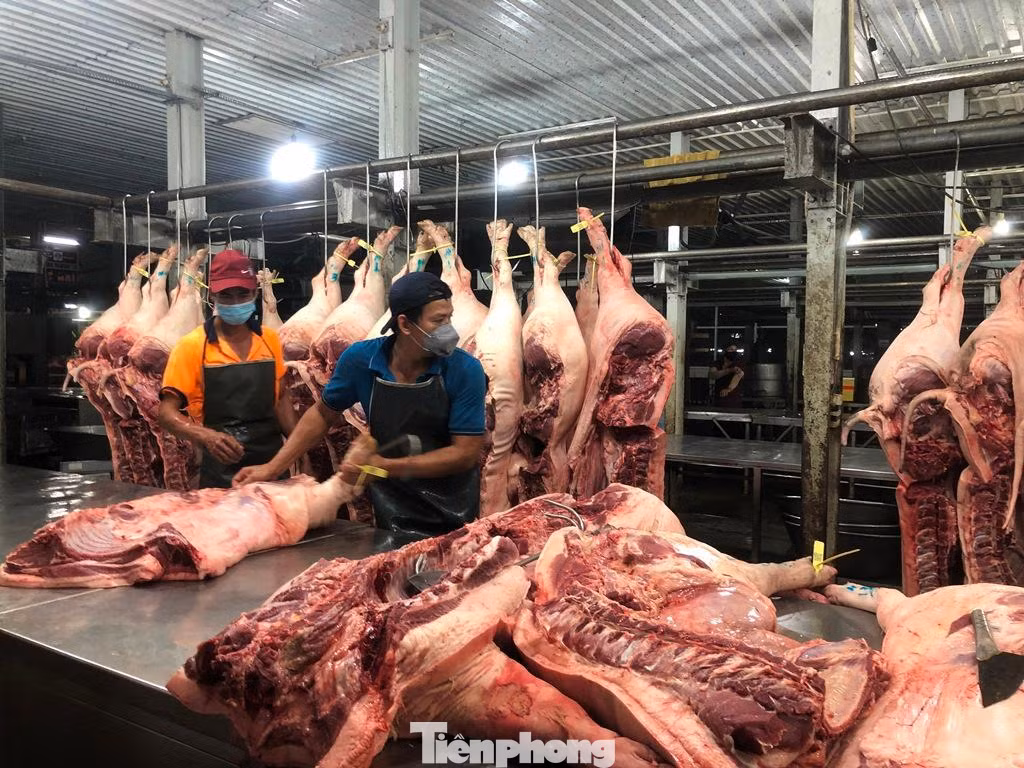 Heo về chợ đầu mối Bình Điền giảm hơn cùng kỳ các năm