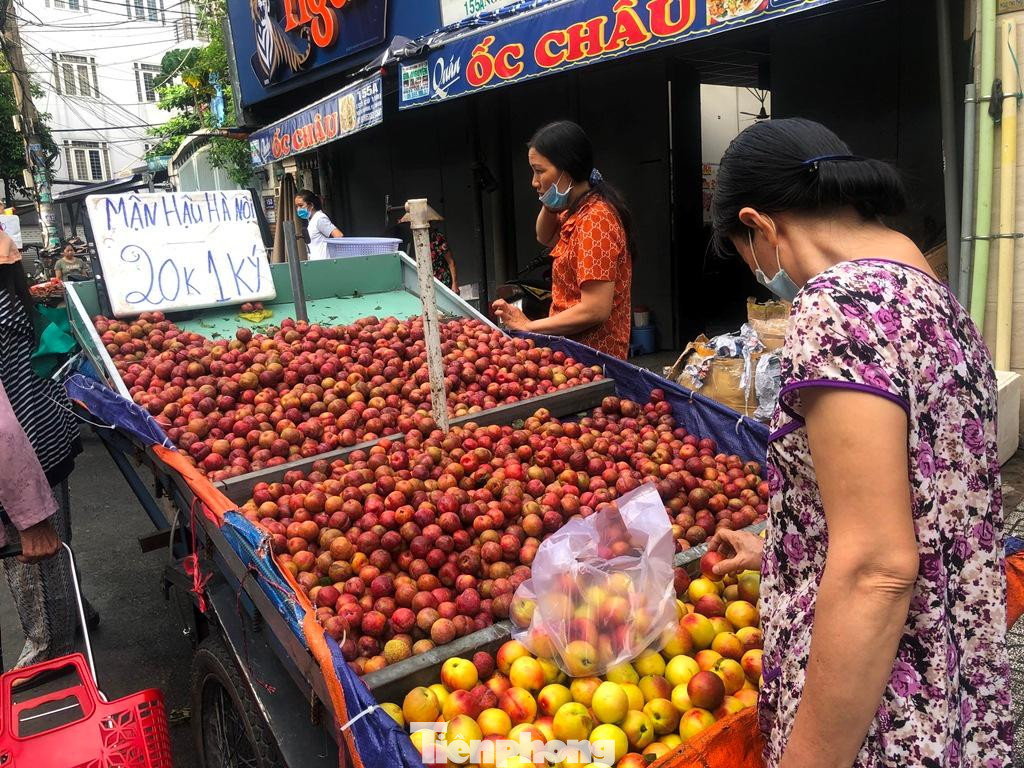Mận hậu Hà Nội trong tháng trước đó có giá gần cả trăm ngàn đồng/kg, nay chỉ 20.000 đồng/kg.