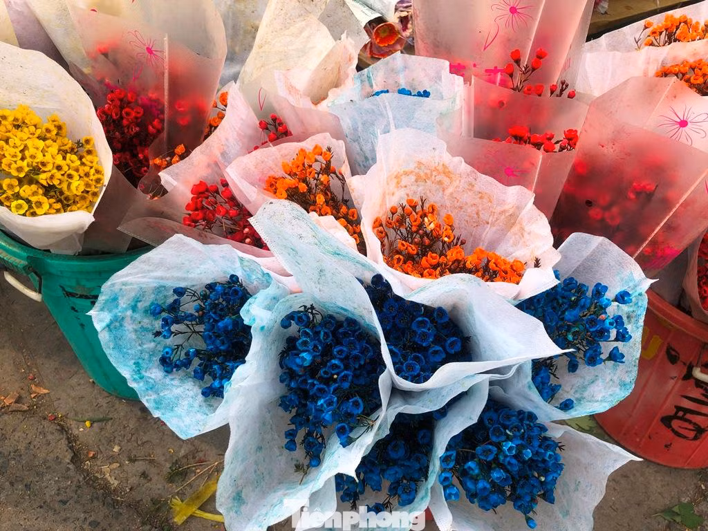 Thanh liễu được nhuộm đủ các màu chơi Tết.
