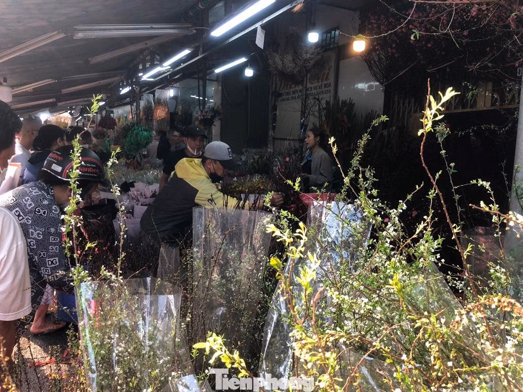 Thanh liễu là loại hoa mới, độc lạ vài năm trở lại đây, giá từ 100.000 đồng/bó.
