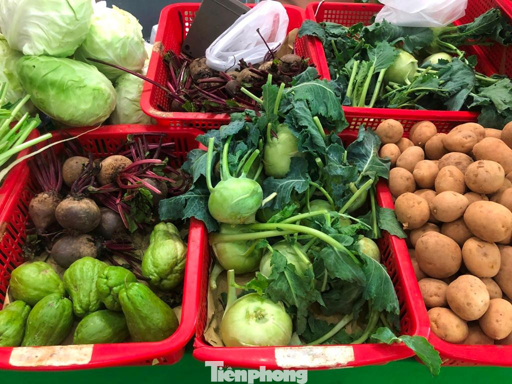 Rau củ mini chuẩn VietGap từ Lâm Đồng, Đà Lạt tươi ngon...