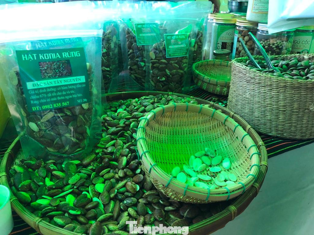 Hạt "lộc trời" kơ-nia mỗi năm chỉ có một mùa