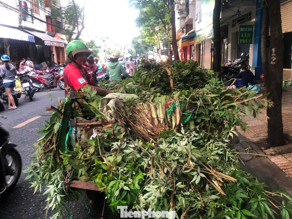 Ông Lê Văn Hi mong bán hết xe lá xông sớm trong ngày Tết Đoan Ngọ Ông Lê Văn Hi mong bán hết xe lá xông sớm trong ngày Tết Đoan Ngọ