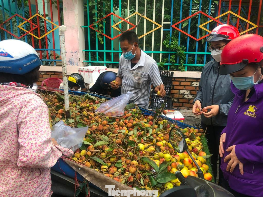 Vải có giá từ 50.000-70.000 đồng/kg Vải có giá từ 50.000-70.000 đồng/kg