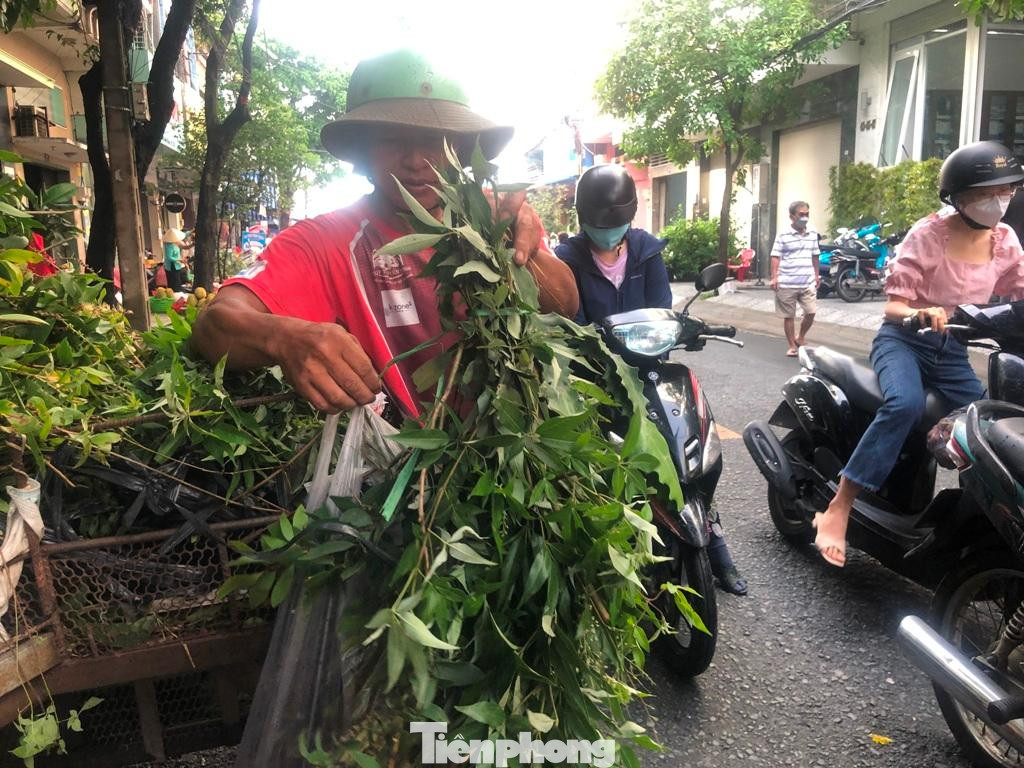 Mỗi lá xông ông Hi tự cắt tại nhiều nơi ở huyện Củ Chi, bán cho người mua với giá 10.000 đồng/bó Mỗi lá xông ông Hi tự cắt tại nhiều nơi ở huyện Củ Chi, bán cho người mua với giá 10.000 đồng/bó