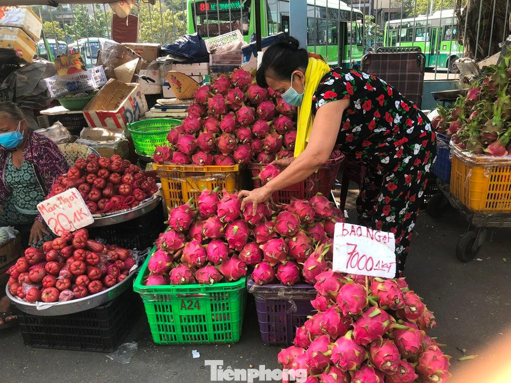 Thanh long trái to, tai tươi nhưng có giá cực rẻ Thanh long trái to, tai tươi nhưng có giá cực rẻ