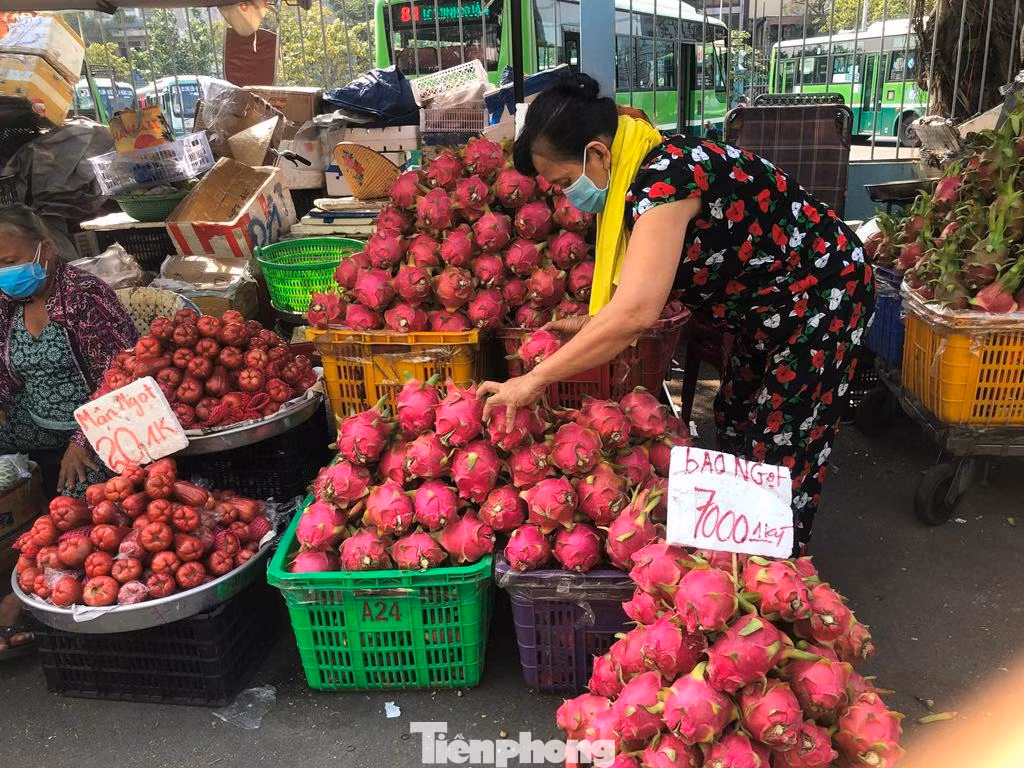 Thanh long trái to, tai tươi nhưng có giá cực rẻ
