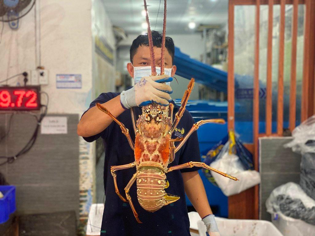 Tôm hùm Caribe có giá tiền triệu vẫn cháy hàng trước Tết