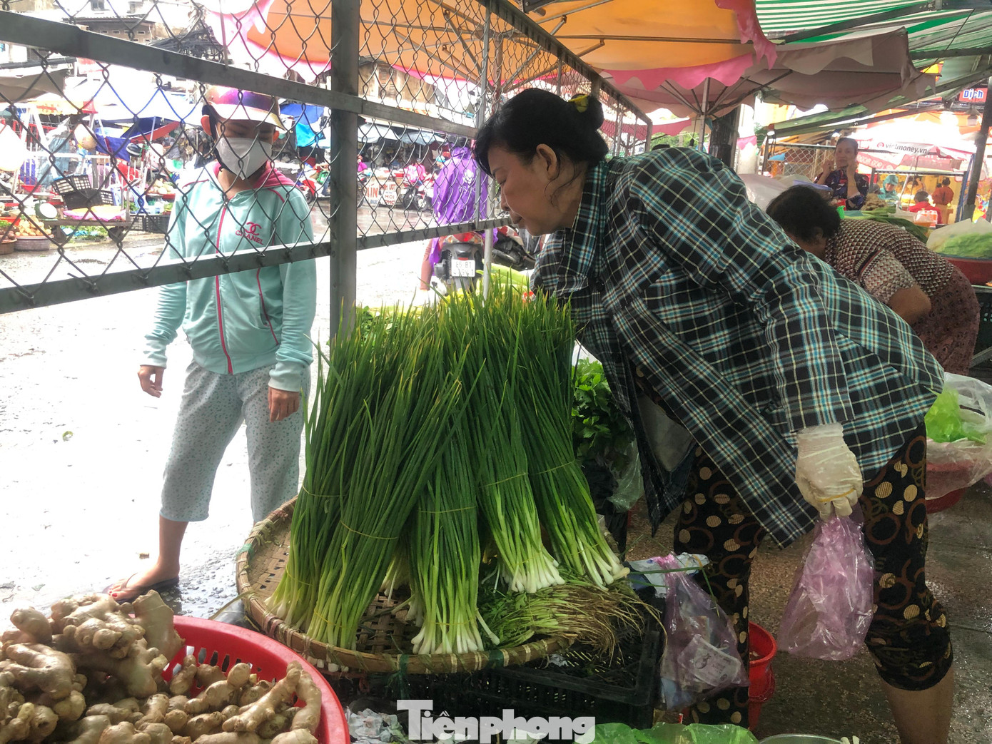 Nhiều mặt hàng rau đắt ngang thịt cá Nhiều mặt hàng rau đắt ngang thịt cá
