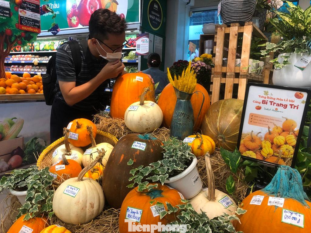 Bí ngô trang trí được bày bán tại nhiều siêu thị, cửa hàng hoa, tiệm bánh ở TPHCM.