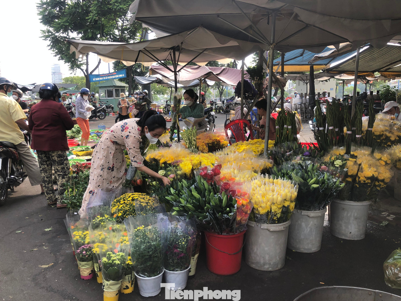 Các loại hoa ly, cúc, vạn thọ, cát tường... có giá từ 20.000 - 40.000 đồng/kg bó.