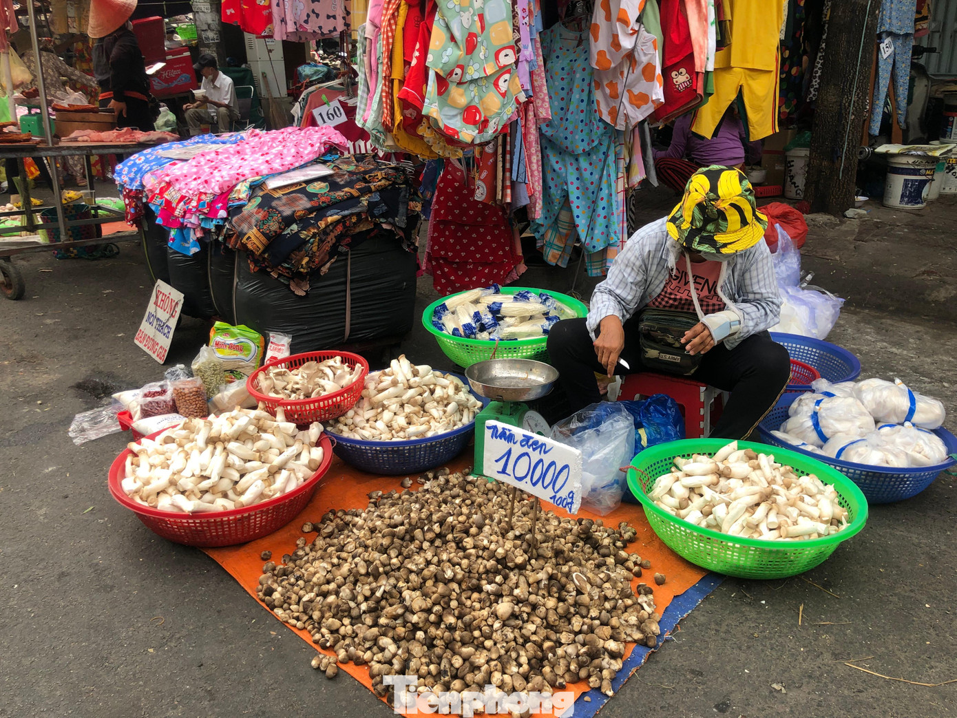 Nấm rơm, nấm đùi gà... giá từ 100.000 đồng/kg, cao hơn ngày thường khoảng 20.000 đồng/kg.