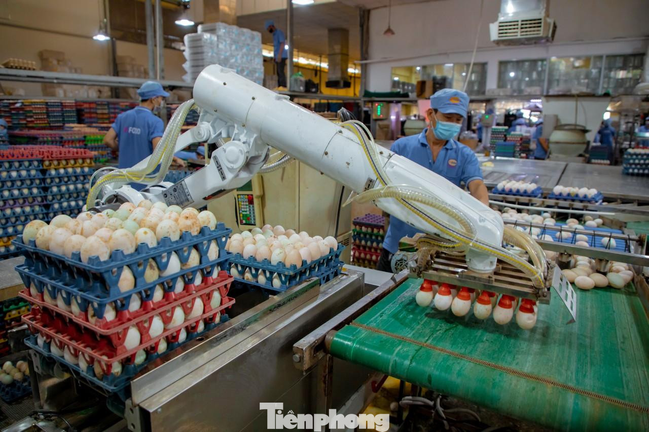 Mặt hàng trứng gà, trứng vịt và thịt gia cầm sẽ điều chỉnh giá tăng từ 6-14% từ ngày 2/4