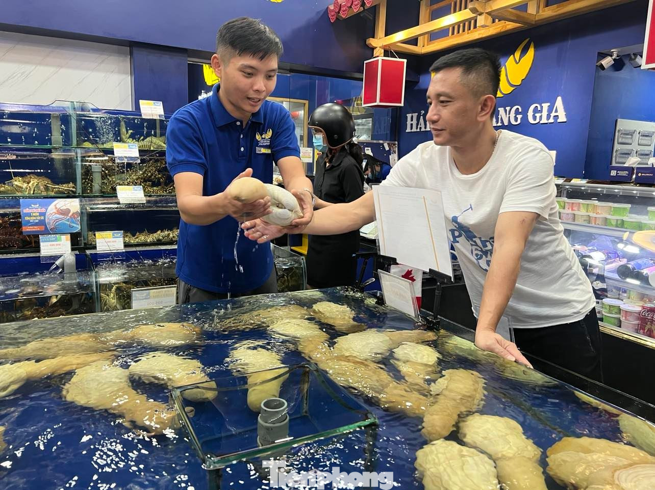 1 tấn ốc vòi voi vàng lần đầu tiên nhập chính ngạch từ Canada về Việt Nam đã được đặt mua hết