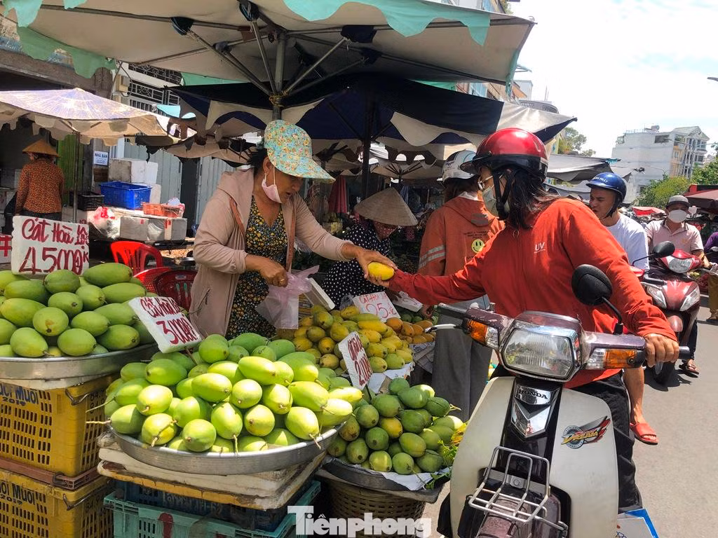 "Tôi thích ăn trái cây trong nước vì vị đậm đà, đồng thời ủng hộ nông dân. Bình thường tôi sẽ chờ trái cây vào chính vụ để mua với giá rẻ hơn, nhưng năm nay thì thưởng thức ngay từ đầu vụ nhiều loại đặc sản như xoài cát Hòa Lộc, mận, thanh long... mà không cần suy nghĩ về giá" - chị Thu Trang (ngụ quận 10) bộc bạch.