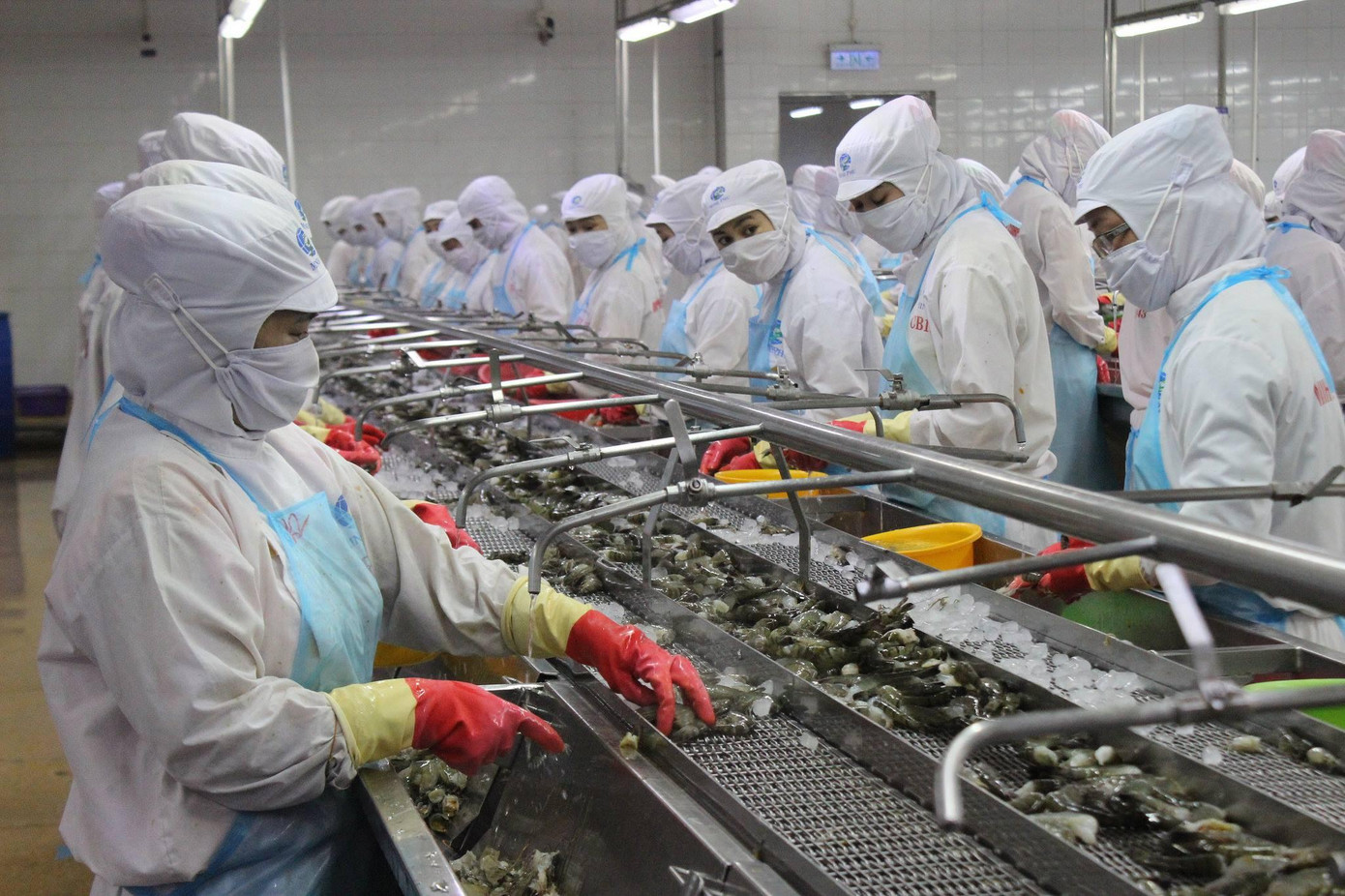 Doanh nghiệp Việt tận dụng cơ hội từ các FTA đưa hàng ra thế giới Doanh nghiệp Việt tận dụng cơ hội từ các FTA đưa hàng ra thế giới